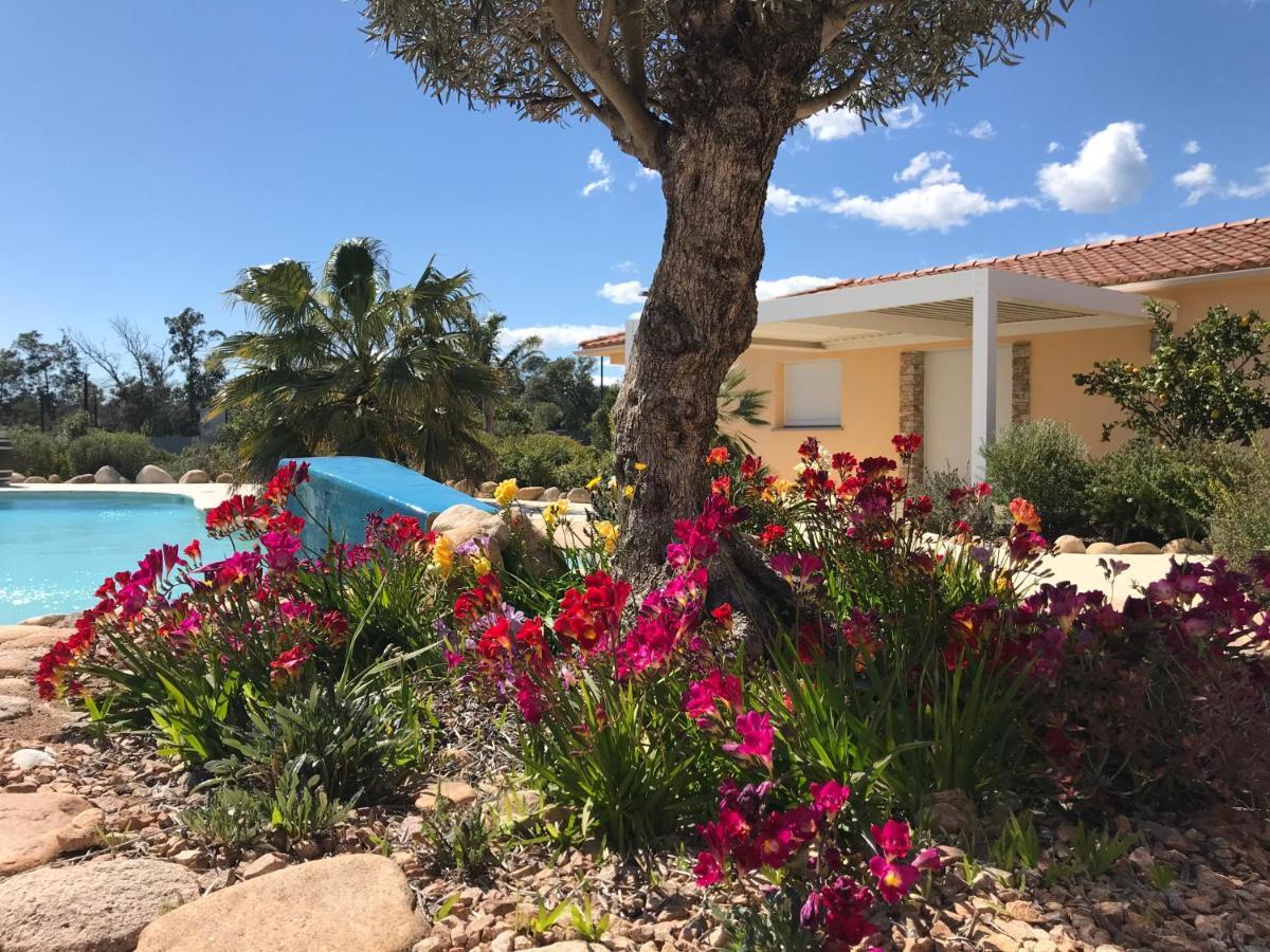 L'Hacienda Piscine Chauffee A 28, Spa, Boulodrome Et Court De Tennis Prives, 2 Villas Independantes Porto-Vecchio  Dış mekan fotoğraf